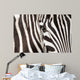 Zebra detail Wall Mural