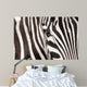 Zebra detail Wall Mural