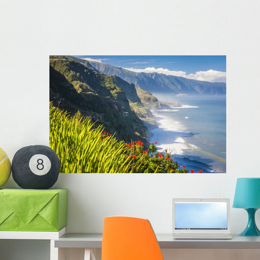Northern Coast near Boaventura Wall Mural