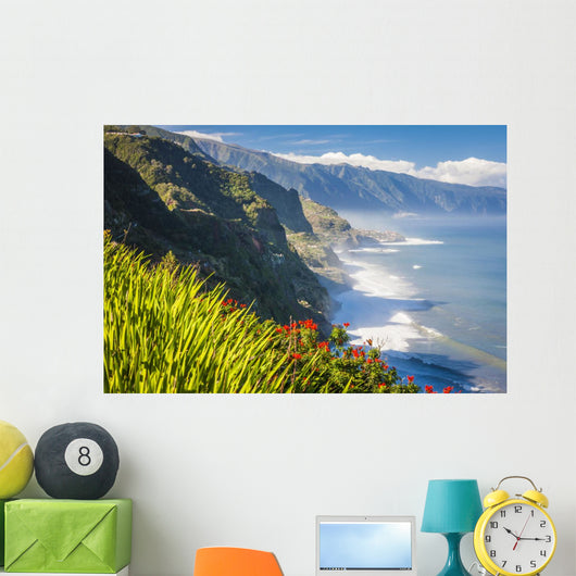 Northern Coast near Boaventura Wall Mural