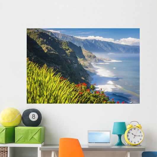 Northern Coast near Boaventura Wall Mural