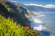 Northern Coast near Boaventura Wall Mural