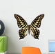 Tropical Butterfly Collection Graphium