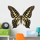 Tropical Butterfly Collection Graphium