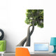 Dna Modified Tree