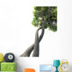 Dna Modified Tree