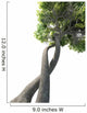 Dna Modified Tree