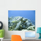 green sea turtle in a tropical coral reef scuba diving adventure Wall Mural
