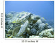 green sea turtle in a tropical coral reef scuba diving adventure Wall Mural