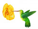 Hummingbird Wall Decal
