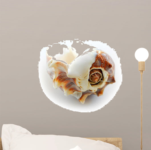 sea shell Wall Decal