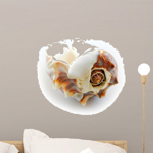 sea shell Wall Decal
