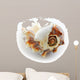 sea shell Wall Decal