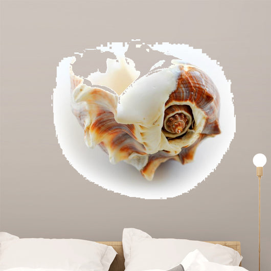 sea shell Wall Decal
