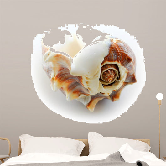 sea shell Wall Decal