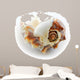 sea shell Wall Decal
