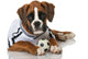 Puppy Football Jersey
