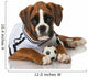 Puppy Football Jersey
