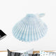 Scallop Seashell White