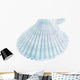 Scallop Seashell White