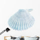 Scallop Seashell White