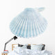 Scallop Seashell White