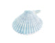 Scallop Seashell White