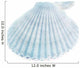 Scallop Seashell White