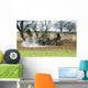 Tractor Muck Spreading during Wall Decal