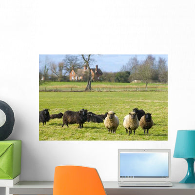 Sheep Rural UK Wall Decal shown on a wall
