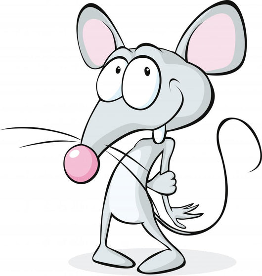 cute shy mouse isolated on white background Wall Decal