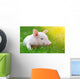 Young Pig Green Grass Wall Decal