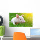 Young Pig Green Grass Wall Decal