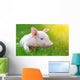 Young Pig Green Grass Wall Decal