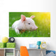 Young Pig Green Grass Wall Decal