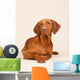 Hungarian or Magyar Vizsla Wall Mural