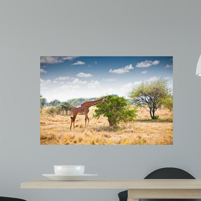 Giraffe National Park Tanzania shown on a wall