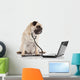 Doctor Pug Dog Wall Decal