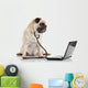 Doctor Pug Dog Wall Decal