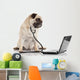 Doctor Pug Dog Wall Decal