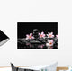 Frangipani with Zen Stone for Spa Concept Wall Mural