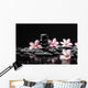 Frangipani with Zen Stone for Spa Concept Wall Mural