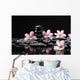 Frangipani with Zen Stone for Spa Concept Wall Mural