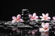 Frangipani with Zen Stone for Spa Concept Wall Mural