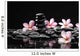Frangipani with Zen Stone for Spa Concept Wall Mural