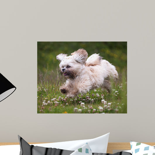 Flying Dog