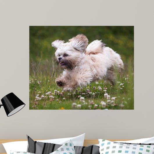 Flying Dog