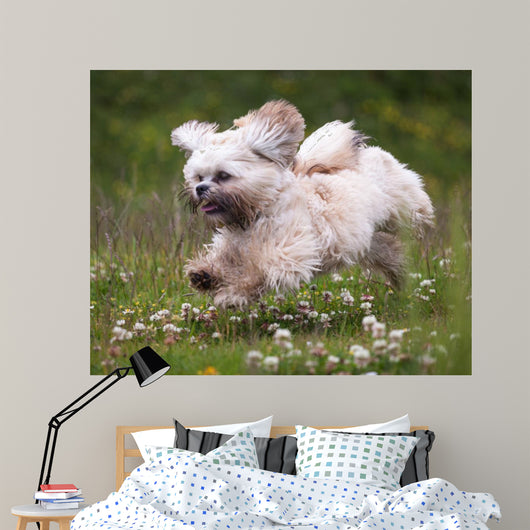 Flying Dog