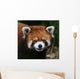 Red Panda Face Wall Decal