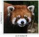 Red Panda Face Wall Decal